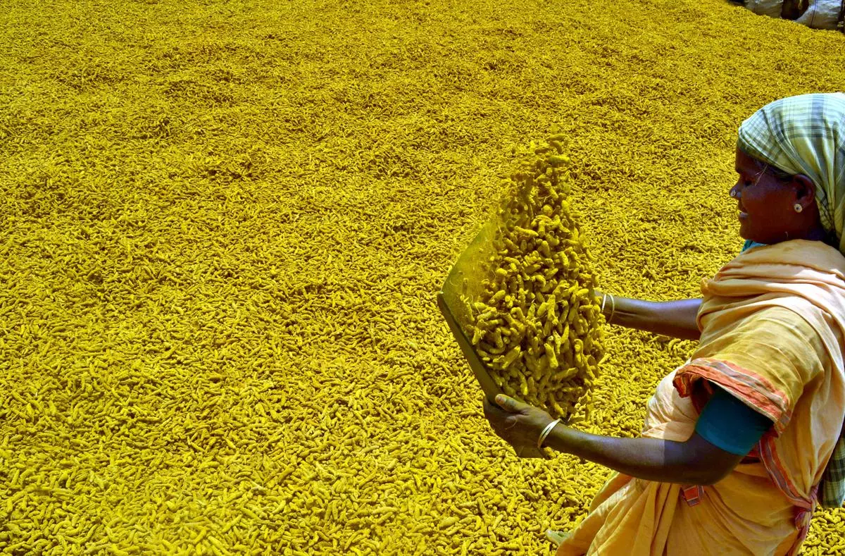 Commercial crops need encouragement!