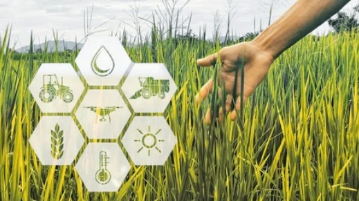 top 8 most searched keywords for a website covering