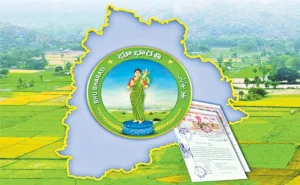 The food vendor in Sadabai Nama Salegudu