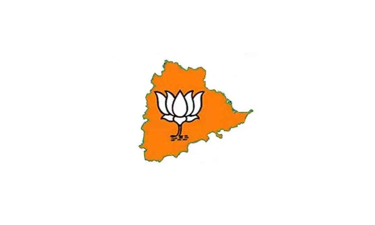 Why Is Bharatiya Janata Party Targeting Telangana