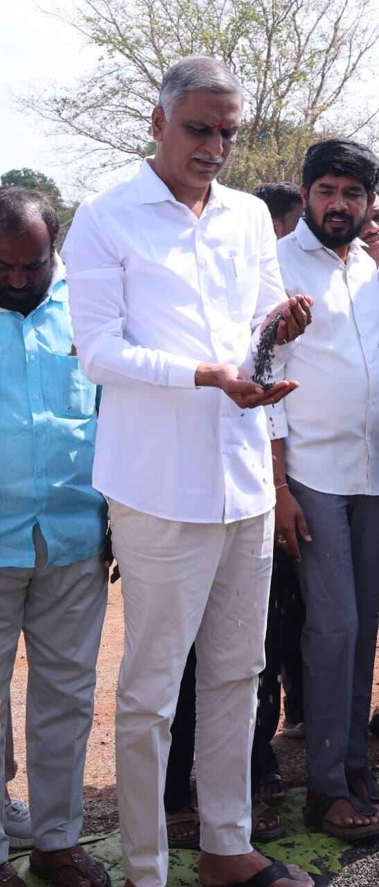Harish Rao