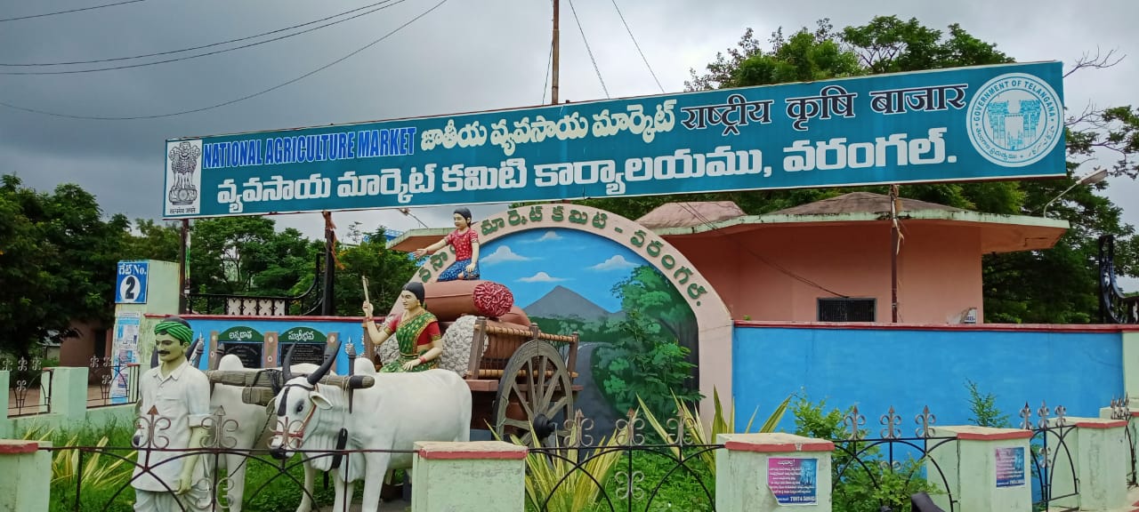 AMC WARANGAL